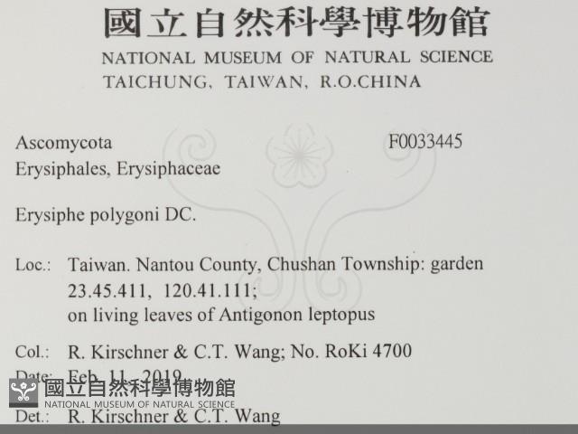 登錄號:F0033445藏品圖，第2張