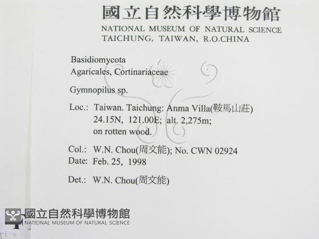 登錄號:F0010745藏品圖，第2張