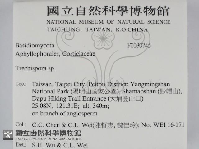 登錄號:F0030745藏品圖，第2張