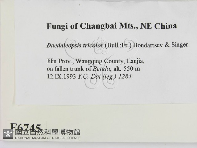 登錄號:F0006745藏品圖，第2張