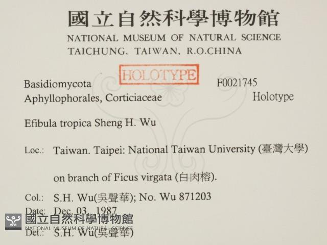 登錄號:F0021745藏品圖，第2張