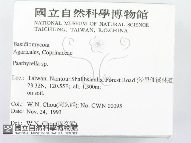 登錄號:F0001745藏品圖，第2張