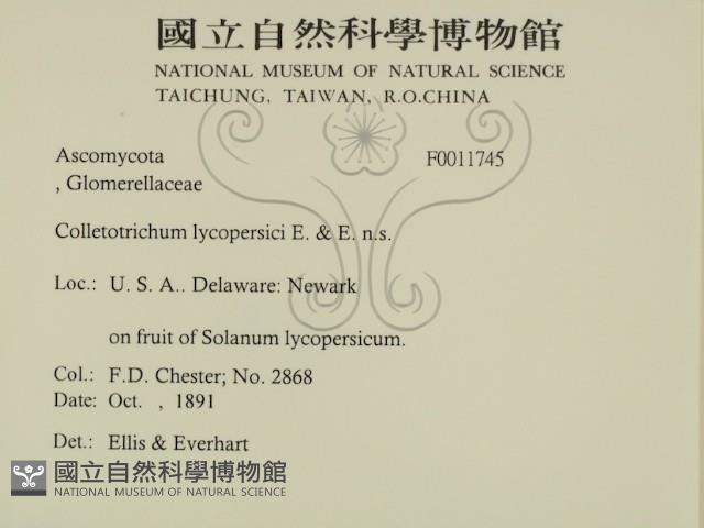 登錄號:F0011745藏品圖，第2張