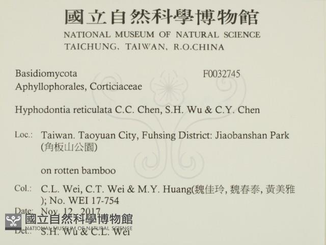 登錄號:F0032745藏品圖，第2張