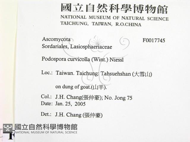 登錄號:F0017745藏品圖，第2張