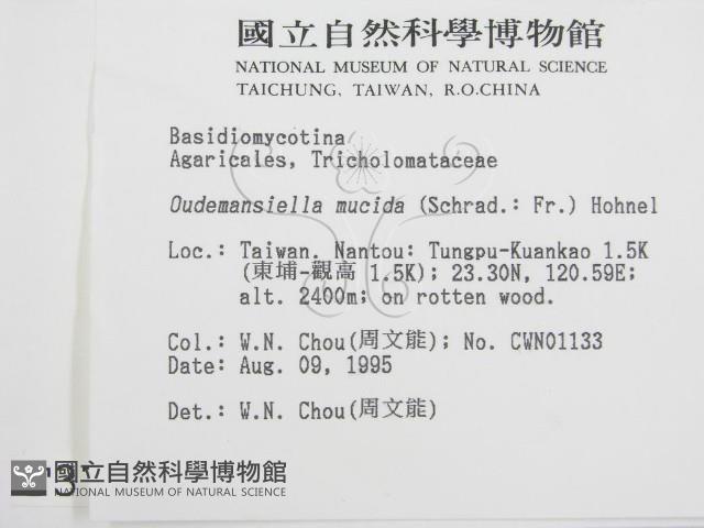 登錄號:F0003745藏品圖，第2張