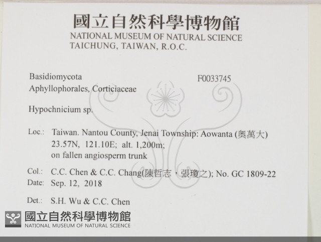 登錄號:F0033745藏品圖，第2張
