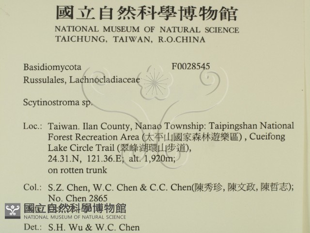 革墊菌屬藏品圖，第2張