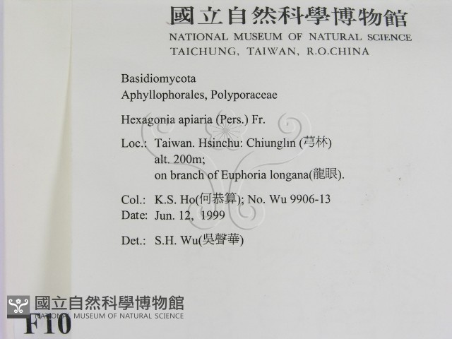 登錄號:F0010545藏品圖，第2張