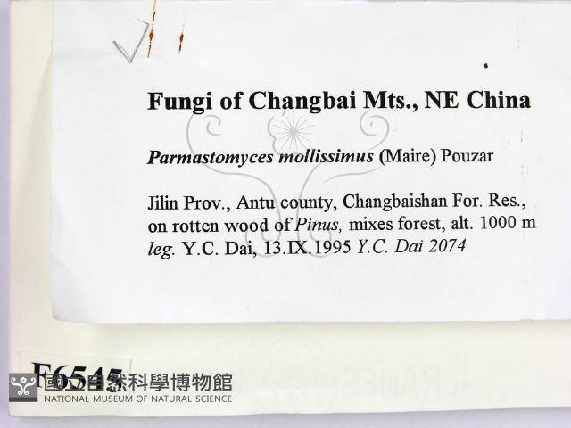 登錄號:F0006545藏品圖，第2張