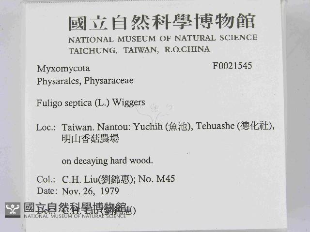 登錄號:F0021545藏品圖，第2張