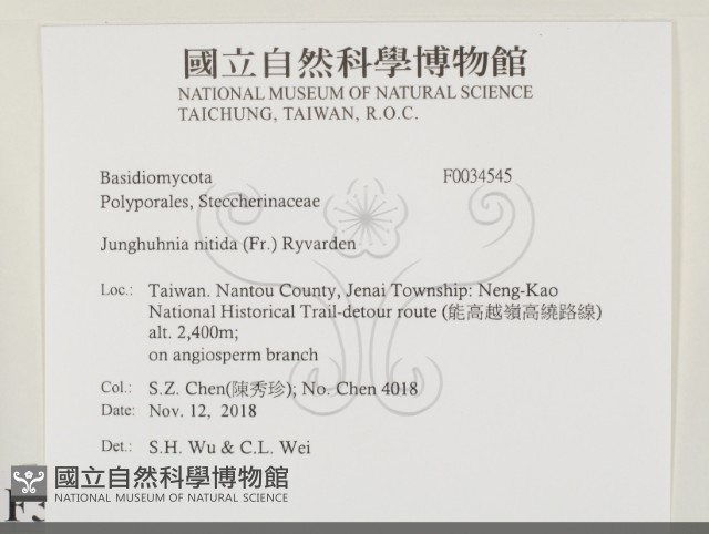 登錄號:F0034545藏品圖，第2張