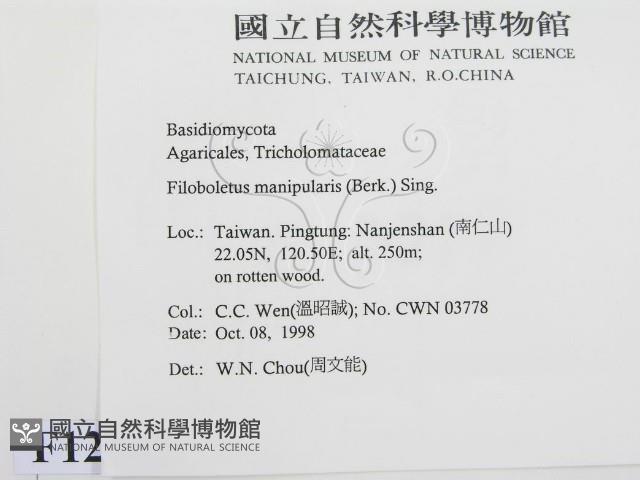 登錄號:F0012545藏品圖，第2張