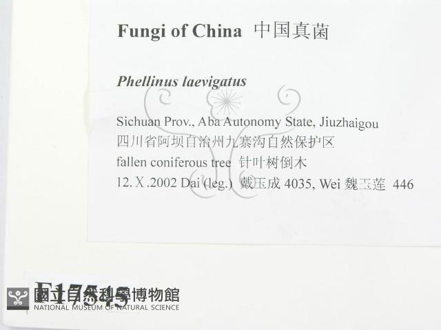 登錄號:F0017545藏品圖，第2張