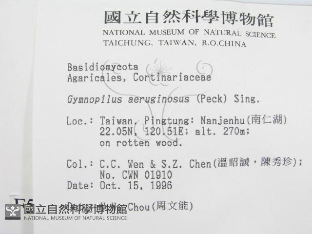 登錄號:F0005545藏品圖，第2張