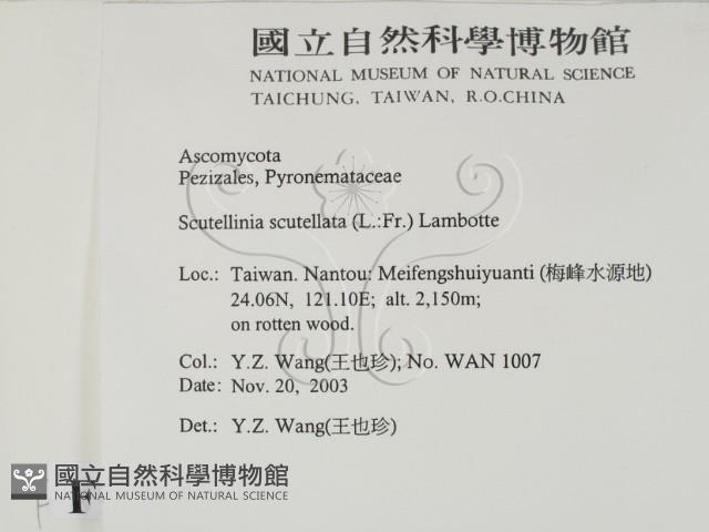 登錄號:F0015545藏品圖，第2張