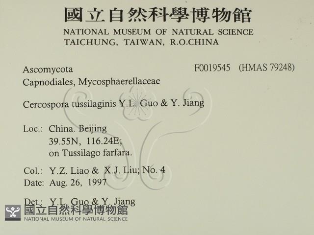 登錄號:F0019545藏品圖，第2張