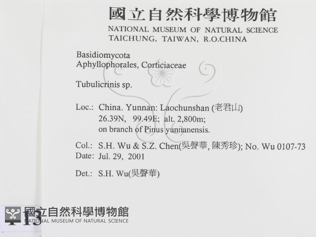 登錄號:F0013545藏品圖，第2張