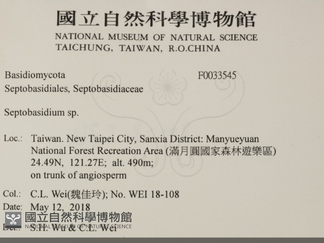 登錄號:F0033545藏品圖，第2張