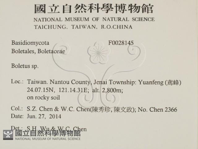 登錄號:F0028145藏品圖，第2張