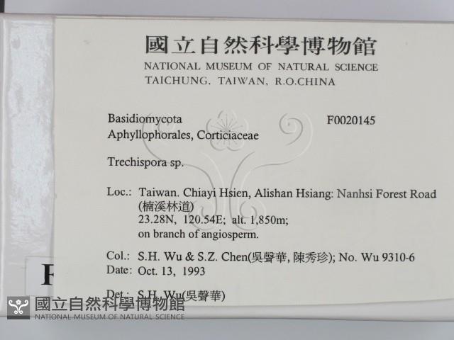 登錄號:F0020145藏品圖，第2張