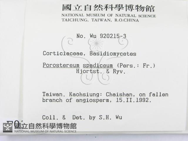登錄號:F0000145藏品圖，第2張