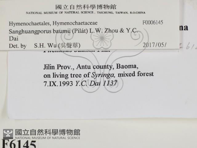 登錄號:F0006145藏品圖，第2張