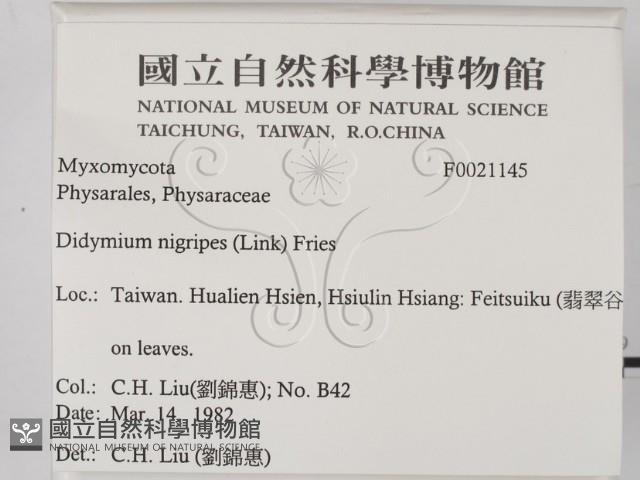 登錄號:F0021145藏品圖，第2張