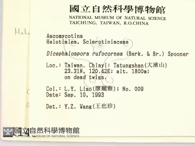 登錄號:F0001145藏品圖，第2張