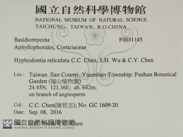 登錄號:F0031145藏品圖，第2張