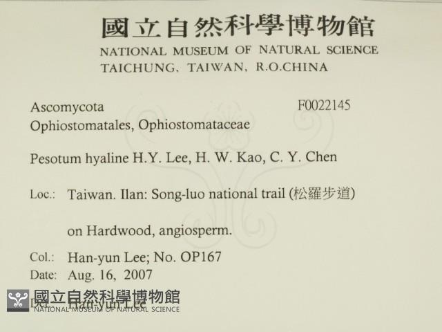 登錄號:F0022145藏品圖，第2張