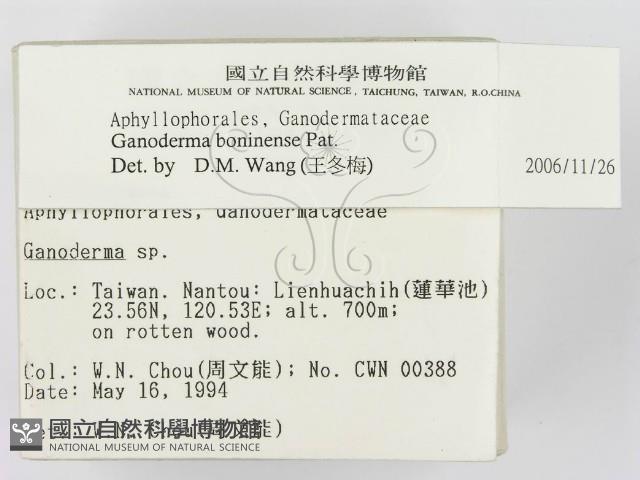 登錄號:F0002145藏品圖，第2張