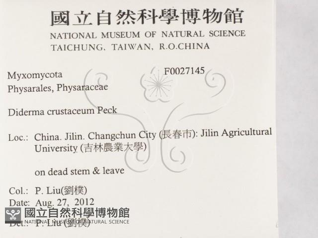 登錄號:F0027145藏品圖，第2張