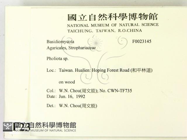 登錄號:F0023145藏品圖，第2張