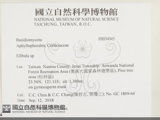 登錄號:F0034045藏品圖，第2張