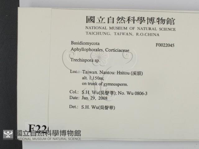 登錄號:F0022045藏品圖，第2張