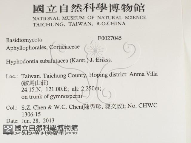 登錄號:F0027045藏品圖，第2張