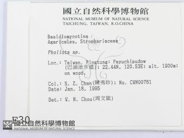 登錄號:F0003045藏品圖，第2張