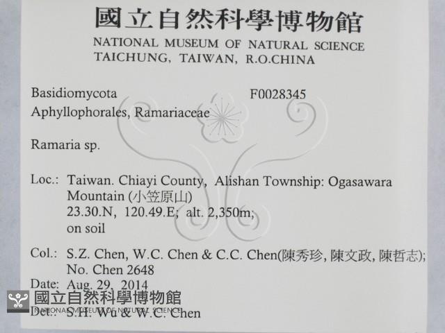 登錄號:F0028345藏品圖，第2張