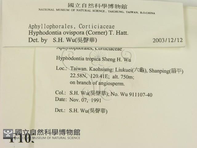 登錄號:F0010345藏品圖，第2張