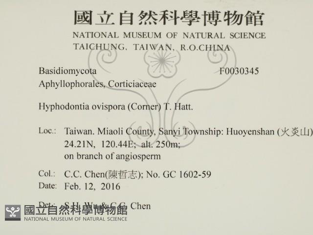 登錄號:F0030345藏品圖，第2張