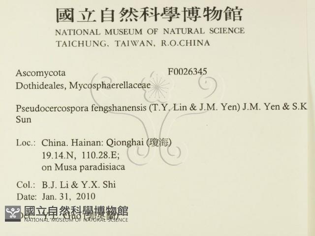 登錄號:F0026345藏品圖，第2張