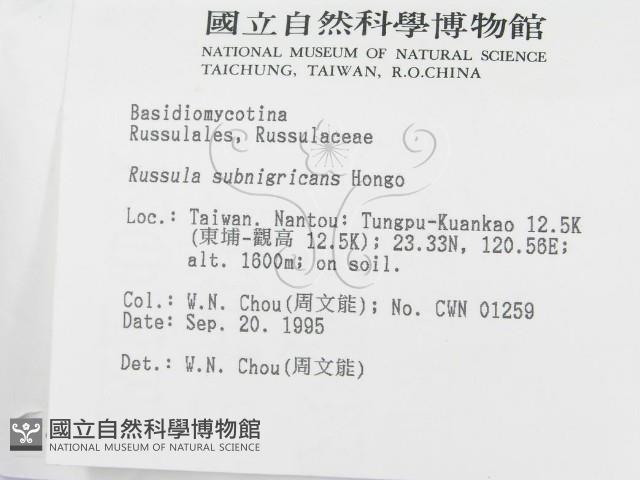 登錄號:F0004345藏品圖，第2張