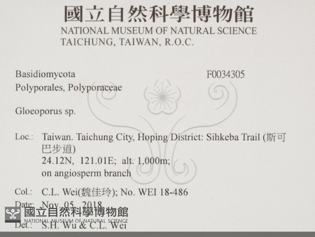 登錄號:F0034345藏品圖，第2張