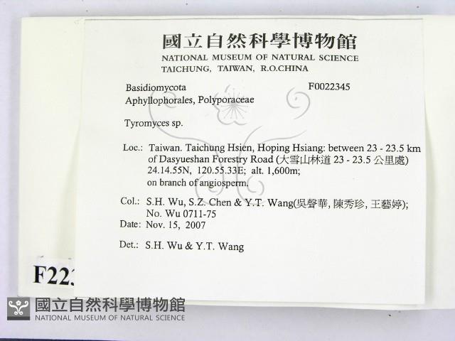 登錄號:F0022345藏品圖，第2張