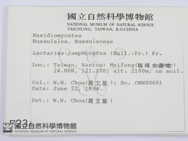登錄號:F0002345藏品圖，第2張