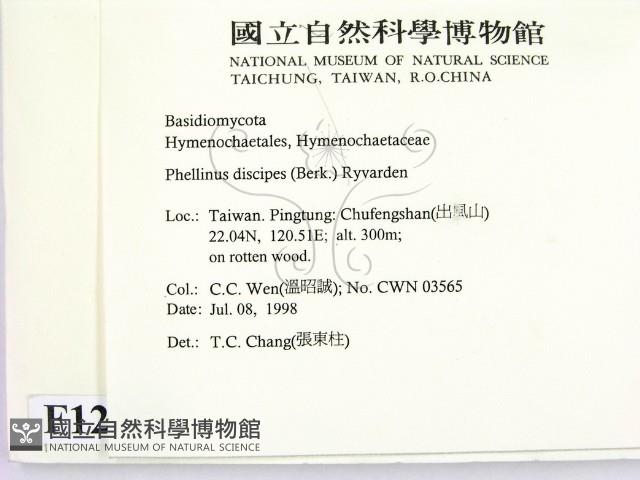 登錄號:F0012345藏品圖，第2張