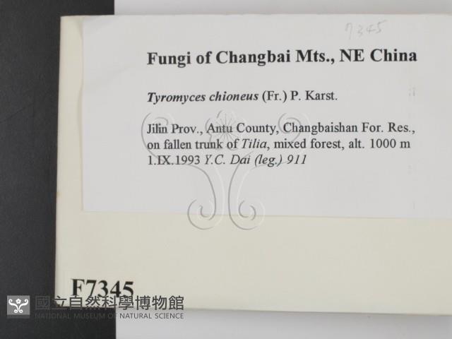 登錄號:F0007345藏品圖，第2張