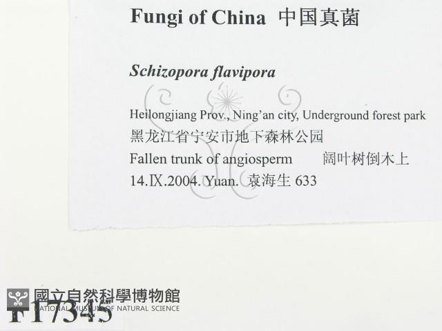 登錄號:F0017345藏品圖，第2張