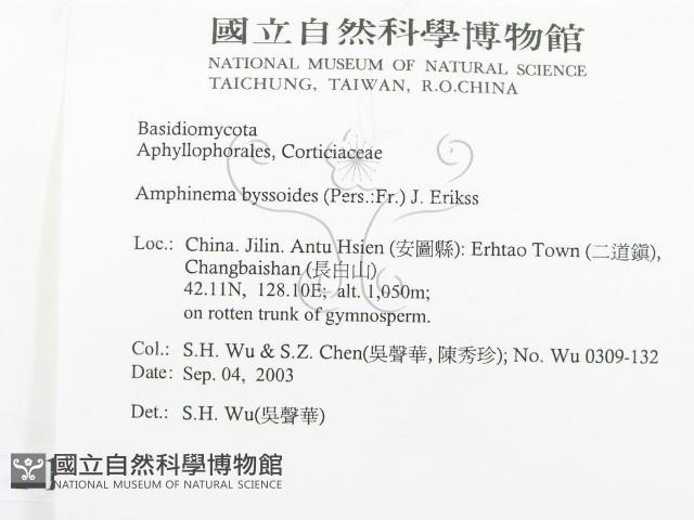 登錄號:F0015345藏品圖，第2張
